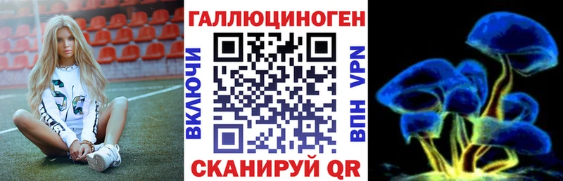 где купить наркоту Северобайкальск Галлюциногенные грибы прущие грибы