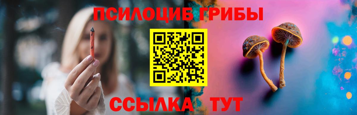 Северобайкальск  цены   Вход с VPN  Галлюциногенные грибы мухоморы 