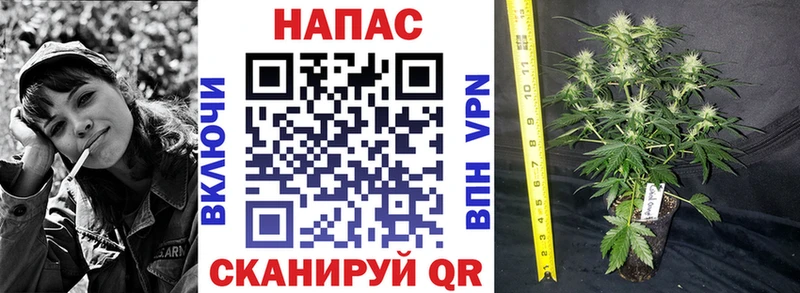 где продают площадка какой сайт Бошки марихуана LSD WEED Северобайкальск